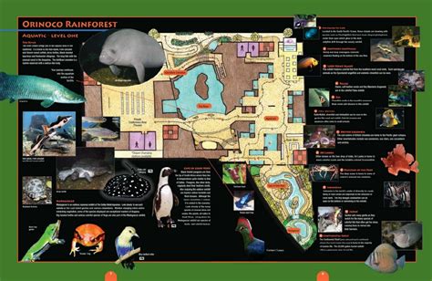 Dallas World Aquarium Map (2024 - 2023) | ThemeParkBrochures.net