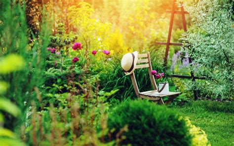 5 Essentials to Turn Your Garden Into a Paradise - True Relaxations