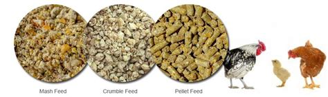 Cost-effective Chicken Feed Making Machines