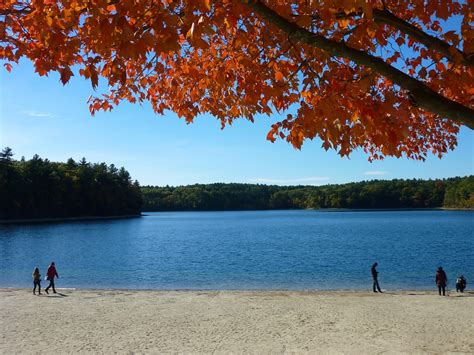 Walden Pond Fall Travel in Concord, Mass. - Eric's New England Gift ...