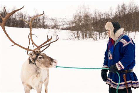 Meet the Sami - Norway's Indigenous Reindeer Herders | Archaeoadventures Tours