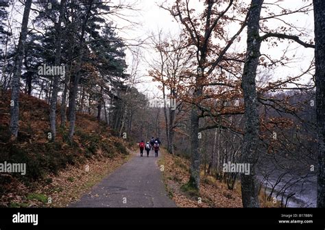 Rambouillet forest tourists having relaxing walk Stock Photo - Alamy