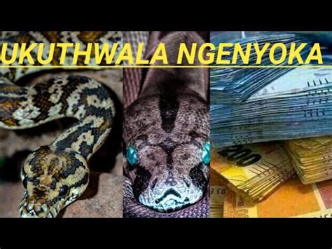 UKUTHWALA NGENYOKA - YouTube