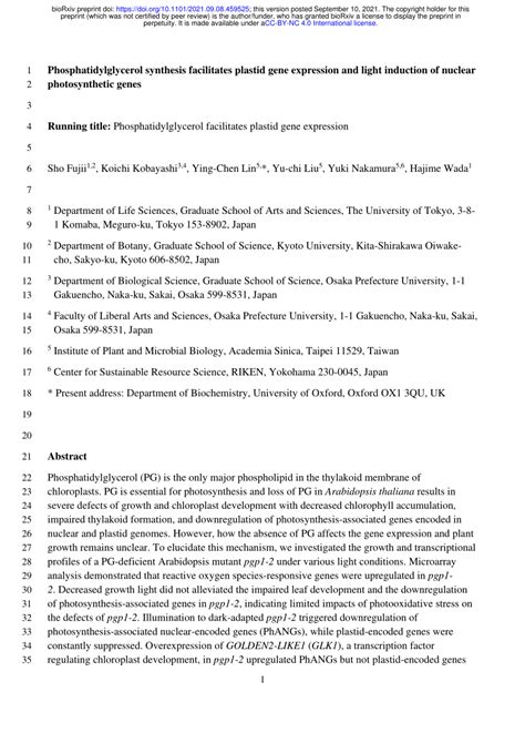 (PDF) Phosphatidylglycerol synthesis facilitates plastid gene expression and light induction of ...