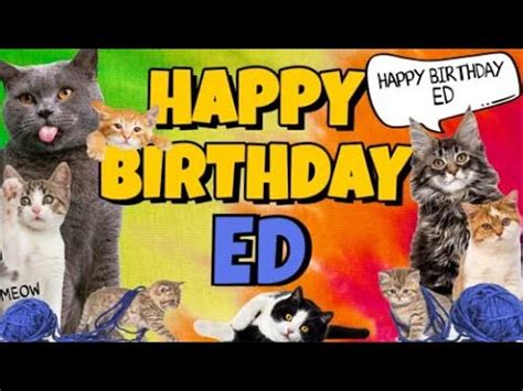 Happy Birthday Ed! Crazy Cats Say Happy Birthday Ed (Very Funny) - YouTube