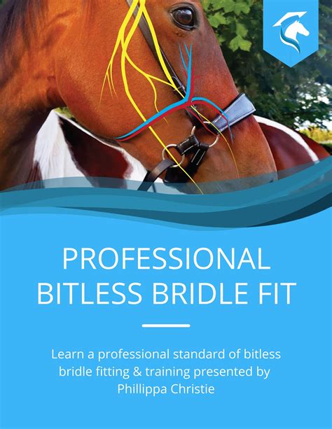 Bitless Bridle Fitting Professionals Course - Equine Academy