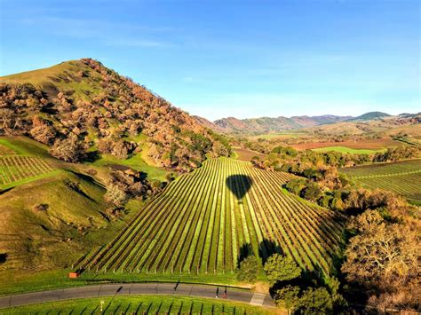 The 15 Best Napa Valley Tours | Travel | US News