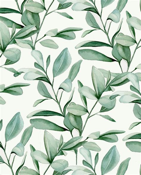 Watercolor Eucalyptus Leaves | Flower background wallpaper, Watercolor pattern, Floral background