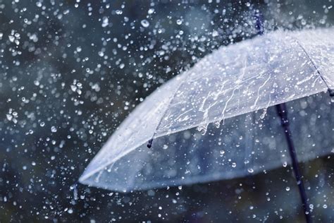 Pourquoi la pluie procure-t-elle une sensation de sérénité