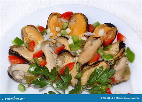 Mussel Salad stock photo. Image of shellfish, vertical - 29651868