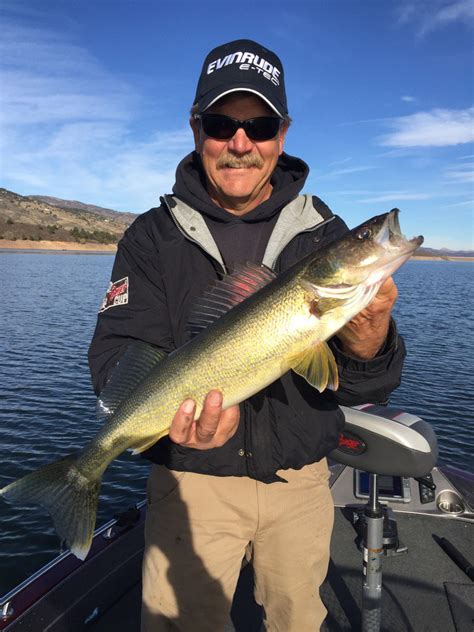 Walleye Fishing Horsetooth Reservoir