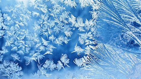 HD wallpaper: hd 4k frosted glass, cold temperature, winter, snow, ice, frozen | Wallpaper Flare