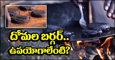 Mosquito Burger: దోమల బర్గర్ గురించి విన్నారా? ఎలా చేస్తారో తెలుసా ...