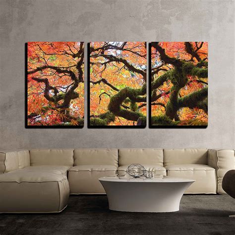 Wall26 - 3 Piece Canvas Wall Art - Gnarly Japanese Maple Tree - Modern ...