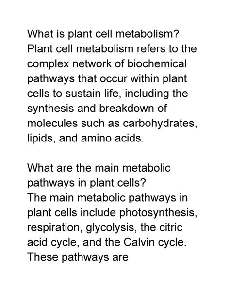 Study guide - Plant Cell Metabolism Pathways and Regulation - Google Docs - What is plant cell ...