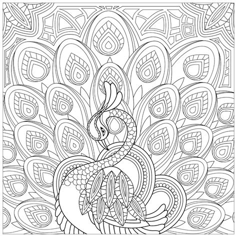 Peacock Coloring Pages For Kids Printable