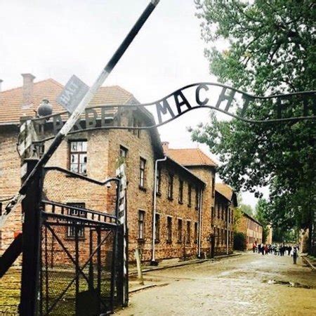 Auschwitz Tour - Krakow Trip - 2019 Everything You Need to Know Before ...