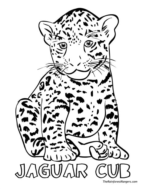 Simple Jaguar Drawing at GetDrawings | Free download