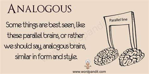 Meaning of Analogous