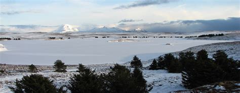 Cold Bay – Eastern Aleutian Tribes