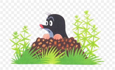 European Mole Drawing, PNG, 699x501px, Mole, Animal, Animation, Art, Beak Download Free