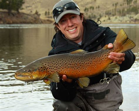 Montana fly fishing photos - Hooked Outfitting - Ennis Montana - Madison River