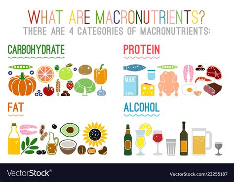 Macronutrients Foods | Bruin Blog