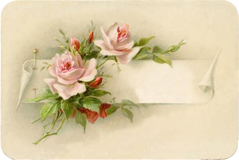 Exceptionally Beautiful Vintage Roses with Pin Image! - The Graphics Fairy