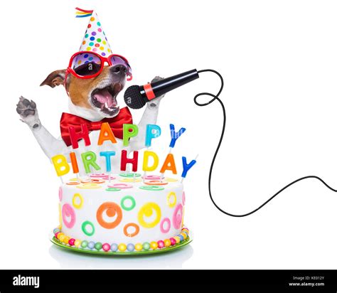 jack russell dog as a surprise, singing birthday song like karaoke with microphone ,behind funny ...