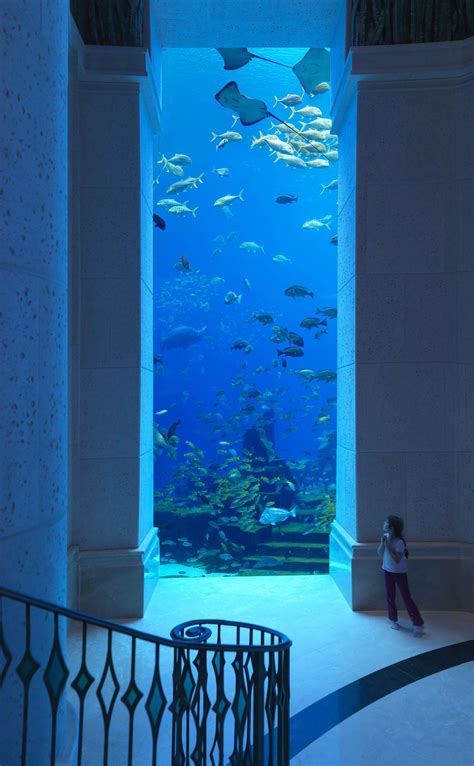 4 Amazing Underwater Hotels You Need To Stay In! - Hand Luggage Only - Travel, Food ...