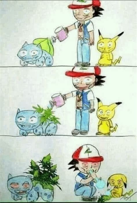 bulbasaur bulbasaur !! : r/memes