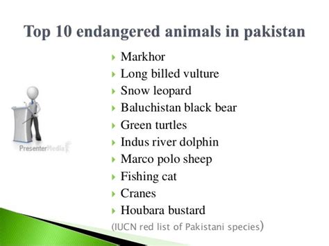 Top 10 endangered species of pakistan