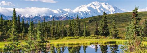 Cruises to Denali National Park: Alaska Cruise | Holland America Line Cruises