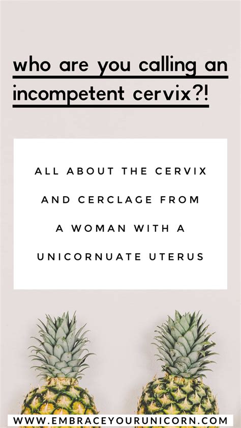 All about this unicornuate uterus gal’s 18-week anatomy scan and cervix check. And what is a ...