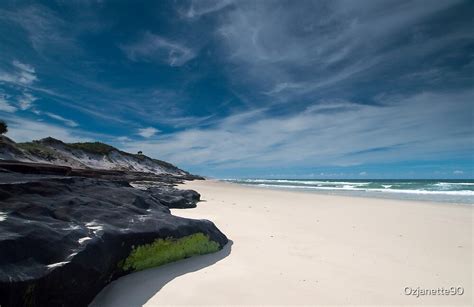 "Bundjalung National Park" by Janette Rodgers | Redbubble