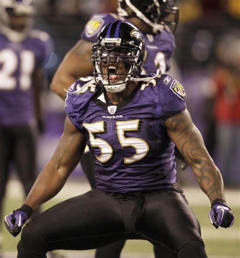 Baltimore Ravens LB Terrell Suggs likely out for 2012 season - masslive.com