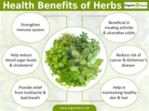 Health Benefits of Herbs and Spices | Organic Facts