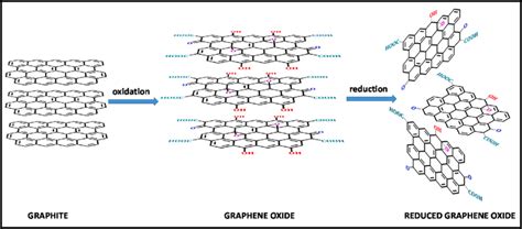 Structures of graphite, graphene oxide, and reduced graphene oxide. | Download Scientific Diagram