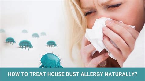 How to Treat House Dust Allergy Naturally?