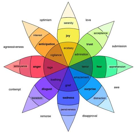 Emotions, Social emotional, Fun facts