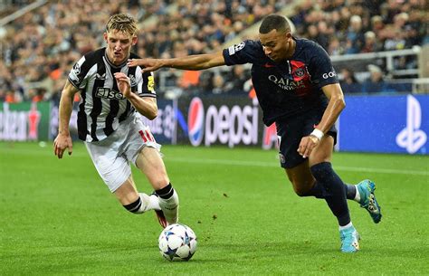 PSG vs Newcastle: Standings Comparison - Birmingham Journal