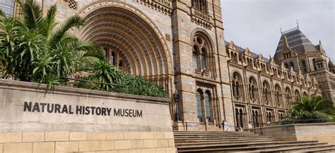 Natural History Museum in London: Guide 2025