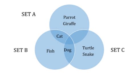 Teach Your Children Venn Diagrams Using Animal Figurines