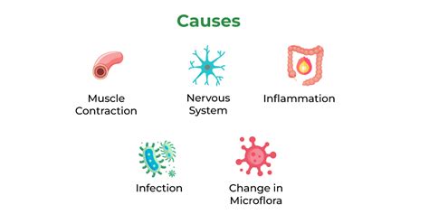 Irritable Bowel Syndrome (IBS): Causes, Symptoms & Management - GK Today