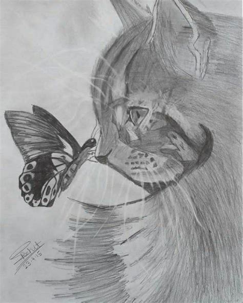 Awesome pencil sketch of a cat and a butterfly!! | Drawings, Butterfly drawing, Art drawings