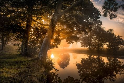 Sunrise View Between Trees At Morning Time Wallpaper,HD Nature ...