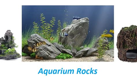 How To Make Rocks Safe For Aquarium - Aquarium Views