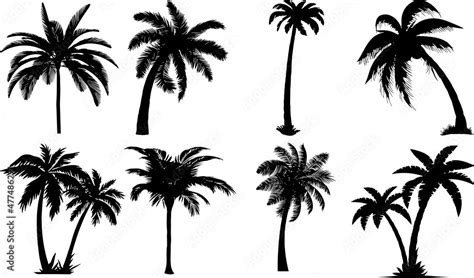 Palm Tree Silhouettes Palm Tree SVG EPS PNG Stock Vector | Adobe Stock