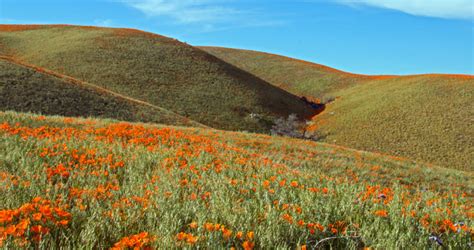 20 Best Things to Do in Lancaster, California