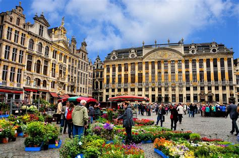 Flower Market and Guildhalls at Grand Place in Brussels, Belgium - Encircle Photos